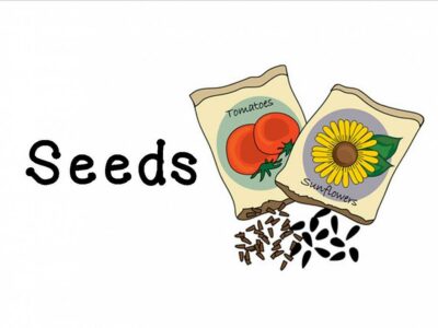Herbal seeds plants wanted