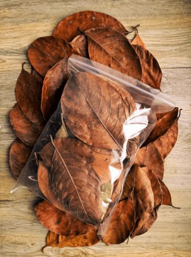 Dried Jackfruit Leaves | වියළි කොස් කොළ