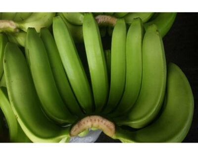Organic Banana - කාබනික නිශ්පාදිත කෙසෙල්
